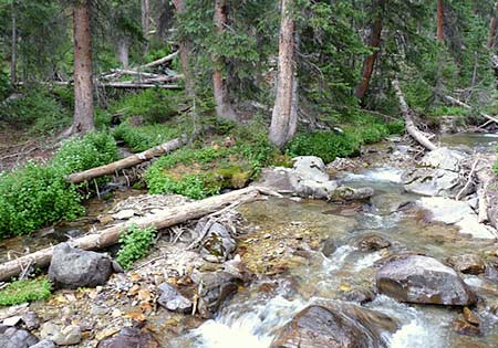 Water rushing through Beaver Creek