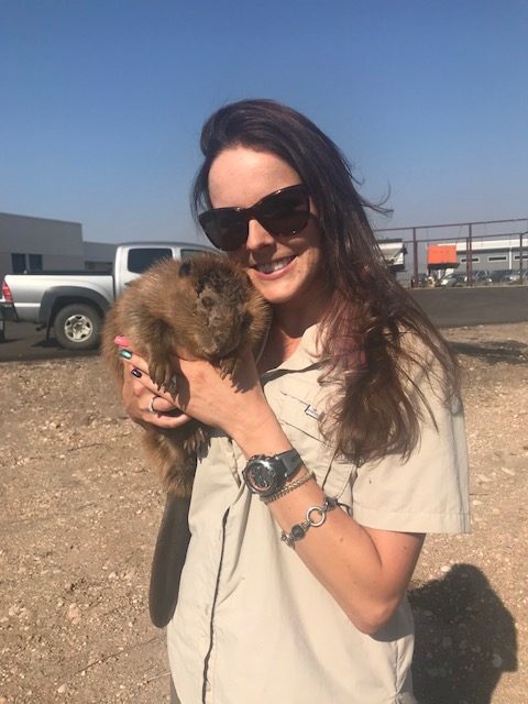 DWR Biologist Heather Talley holding a young beaver