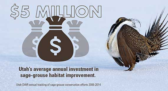 Utah's average annual investment in sage-grouse habitat improvement has been 5 million dollars