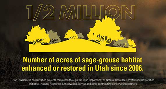 Half a million acres of sage-grouse habitat has been enhanced or restored since 2006