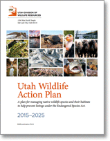 Wildlife Action Plan